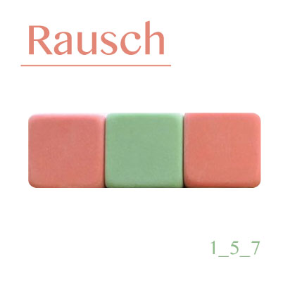 Rausch1_5_7