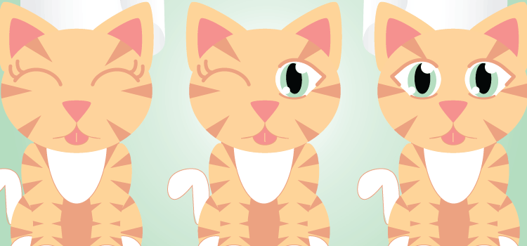 Kitty Cat Flavor Wallpaper
